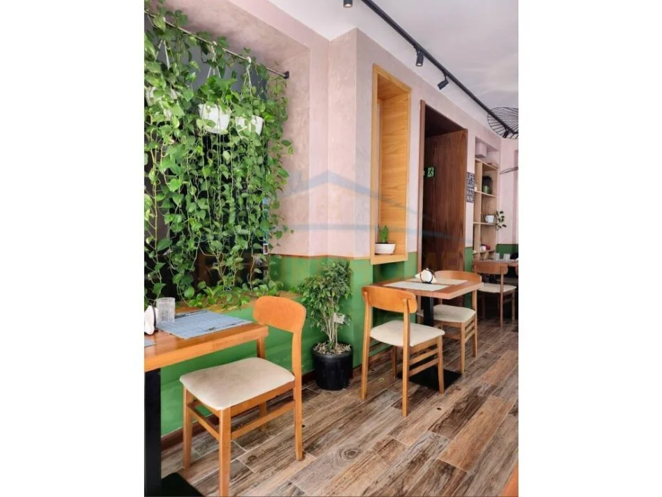 Qera,Bar-Restorant, Sheshi Willson, Tiranë.