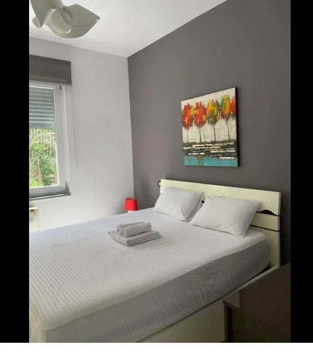 Tirane, jepet me qera apartament 1+1+Ballkon Kati 1, 85 m² 600 € (KOPSHTI BOTANIK)