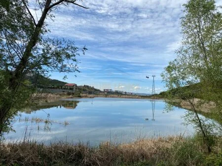 Shitet, Bar Restorant/Hotel, buze Liqenit te Linzes. AREA39949