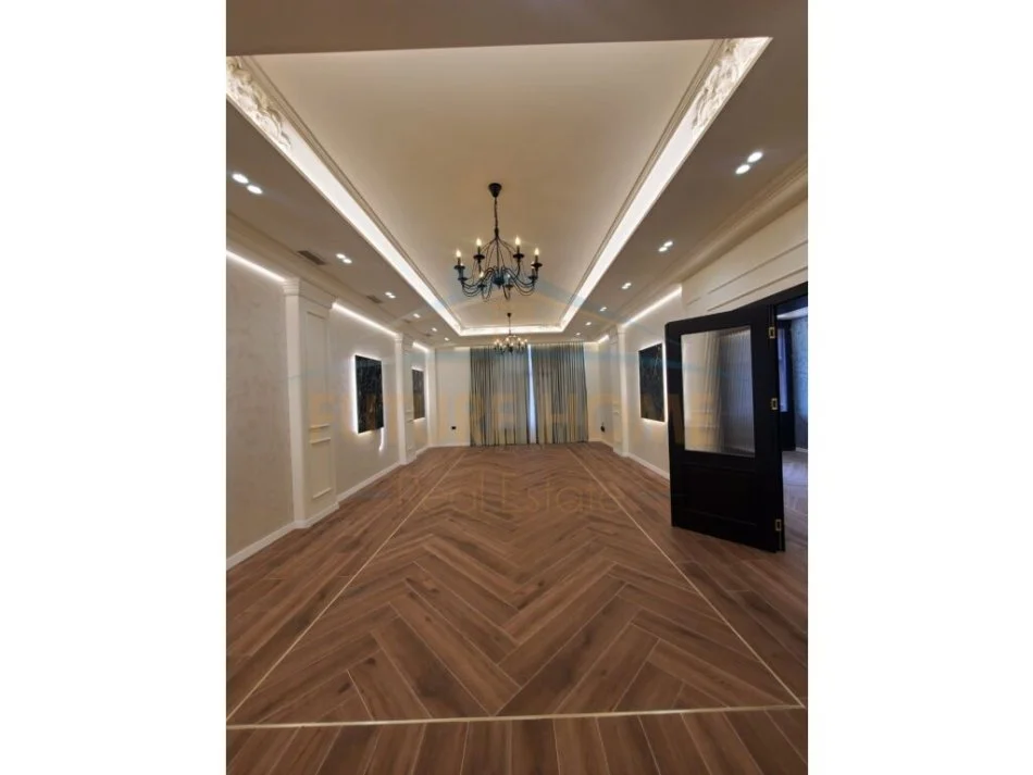 Tirane, shitet ambjent biznesi Kati 0, 221 m² 264.000 € 