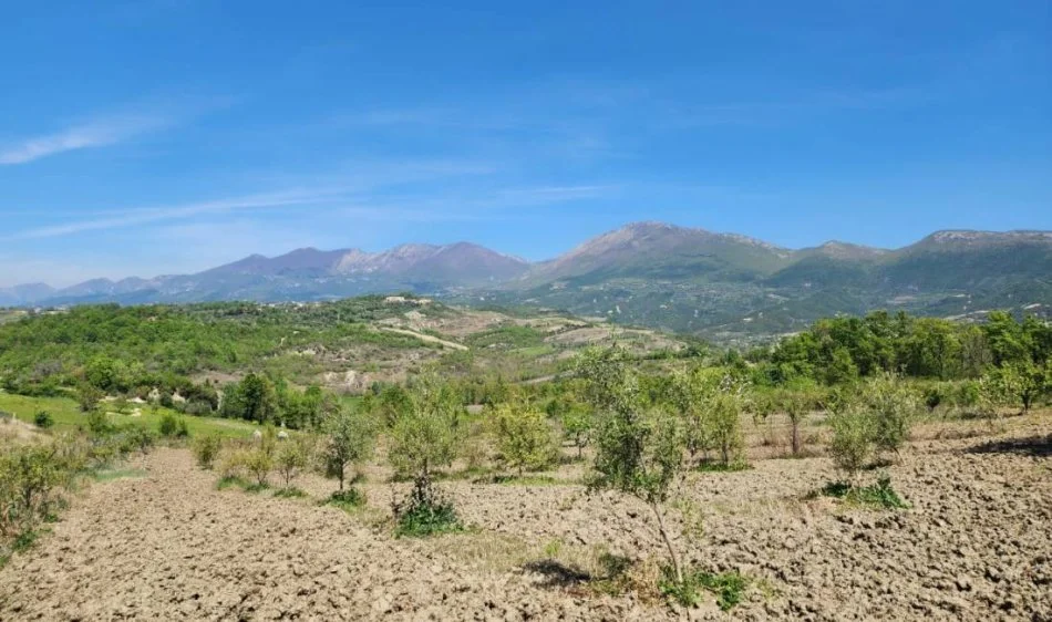 SHITET SUPER TOKE: 3221m2  📍  Në Qeha 5 Min Nga Mulleti ( 95€/m² Ultra Okazion)  (( 297,000€ ))💣