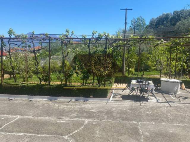 Tirane, shitet shtepi 2.000 m² 300.000.000 Euro