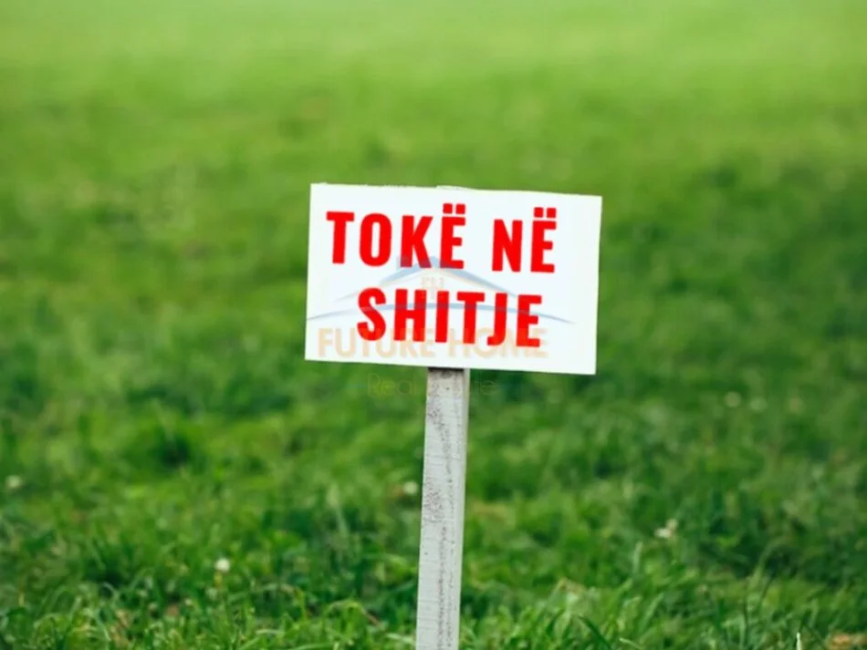 Shitet, Toke, Gjiri i Lalzit, Durrës. AREA44138