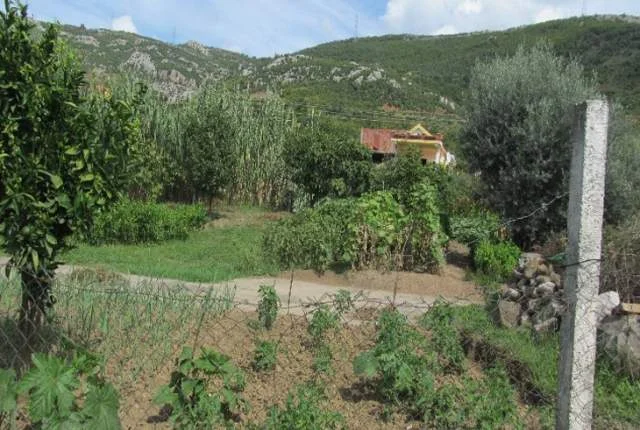 Lezhe, Shitet Truall dhe Ndertese, Cmimi Fillestar 237,600 Lekë (Spiten)