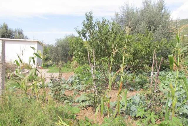 Lezhe, Shitet Truall 300 m² + Ndertese 110 m², Cmimi Fillestar 950.400 Leke (Spiten)