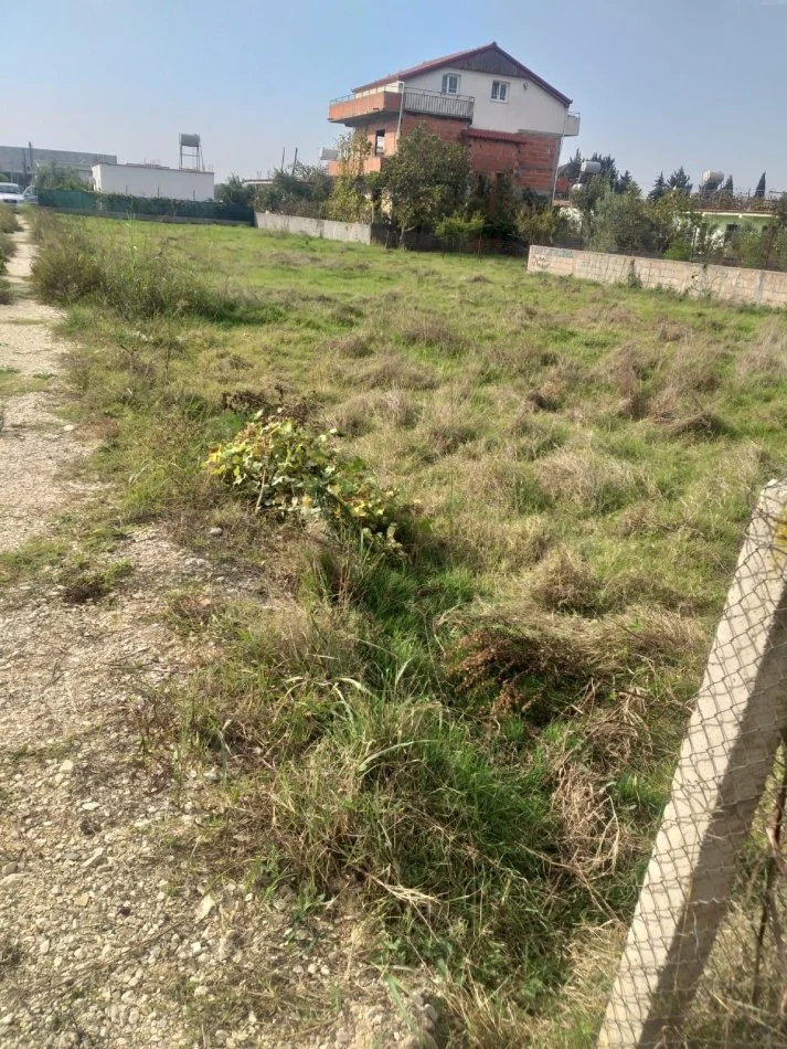 Tirane, shes , 600 m² 65.000 € 