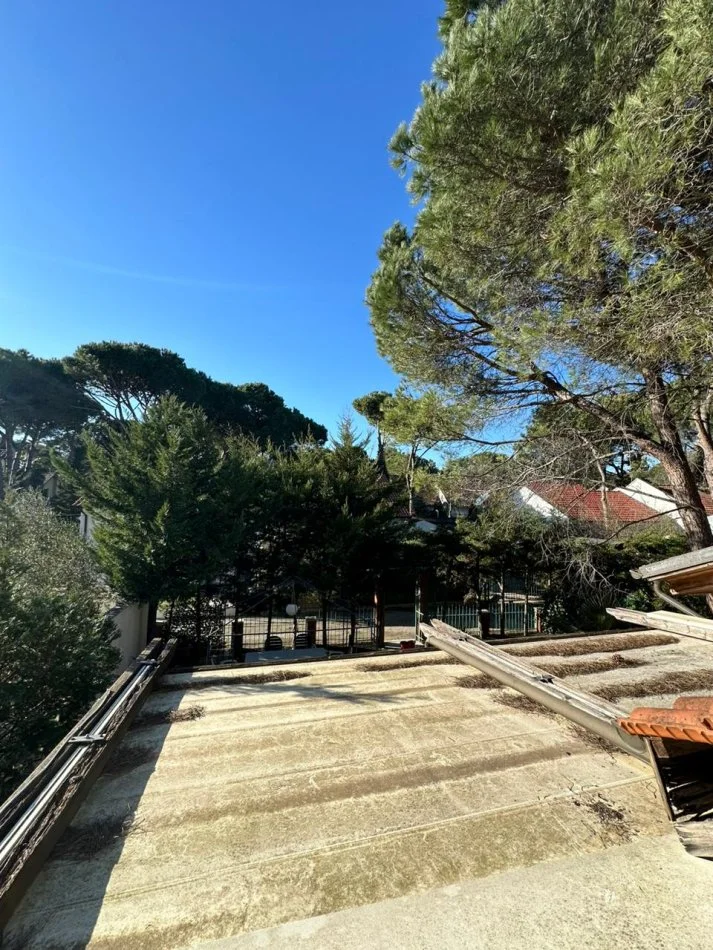 Shitet vile prane detit ne Golem