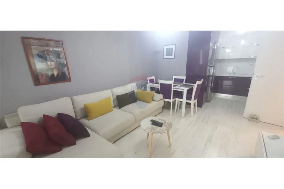 Tirane, jepet me qera apartament 1+1 Kati 3, 63 m² 500 € (21-Dhjetori - Frosina Plaku)
