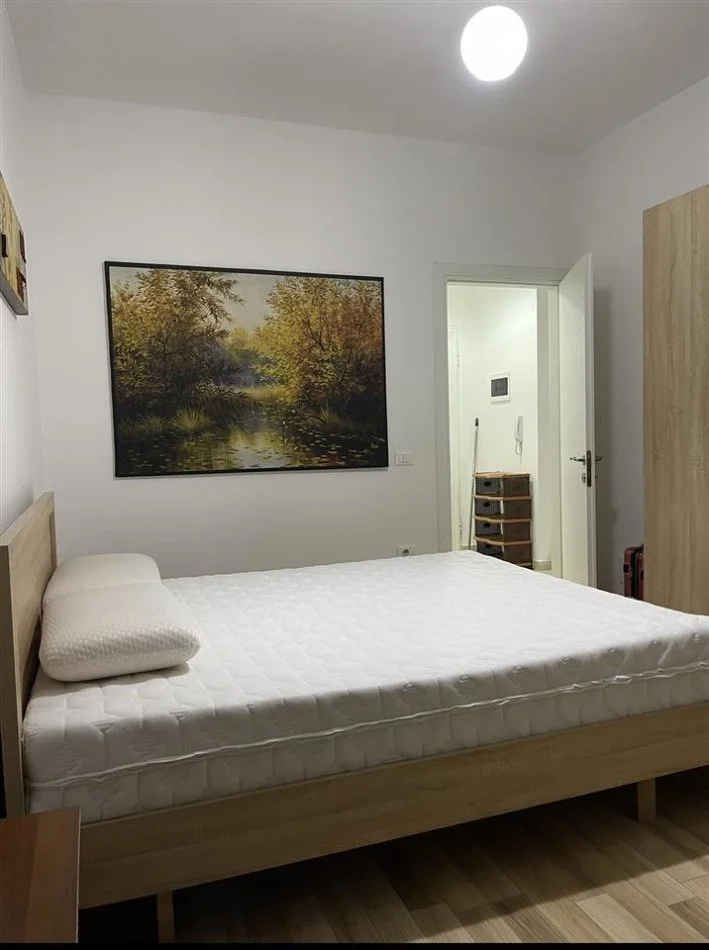 Tirane, jepet me qera apartament 1+1+Ballkon Kati 5, 65 m² 650 € (komuna e parisit)