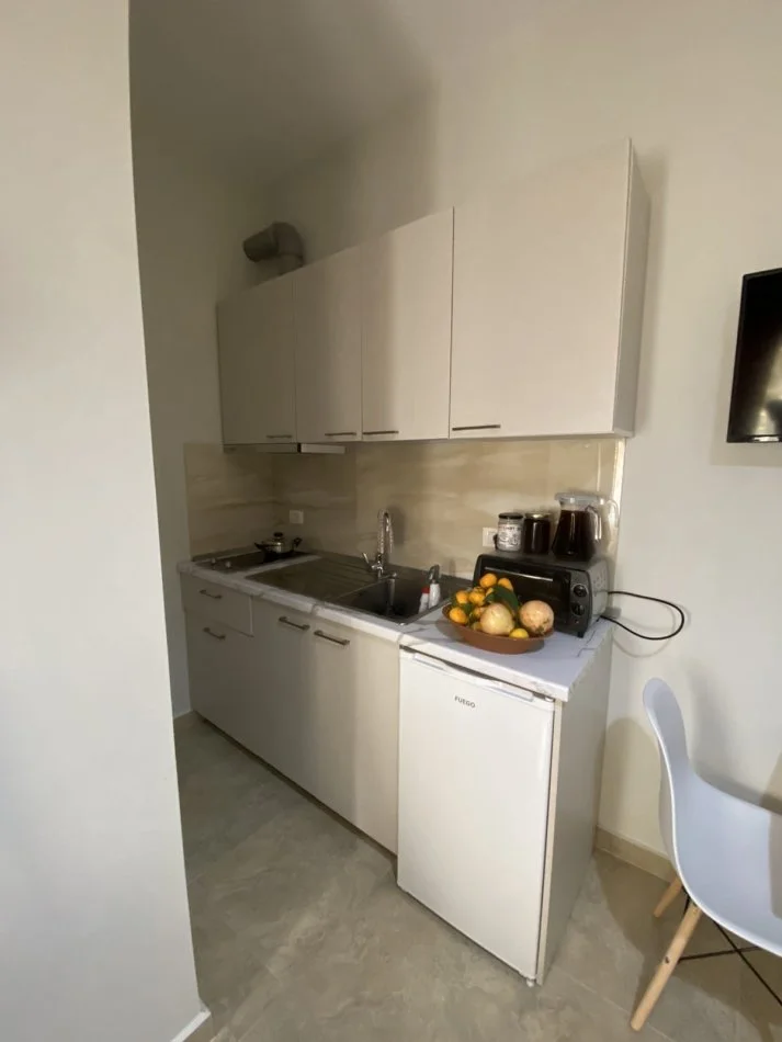 Tirane, jepet me qera 1+1 Kati 1, 30 m² 400 € (Myslym Shyri)