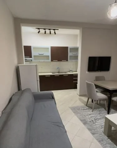 Tirane, jepet me qera apartament 1+1 Kati 3, 67 m² 450 € (Komuna Parisit)