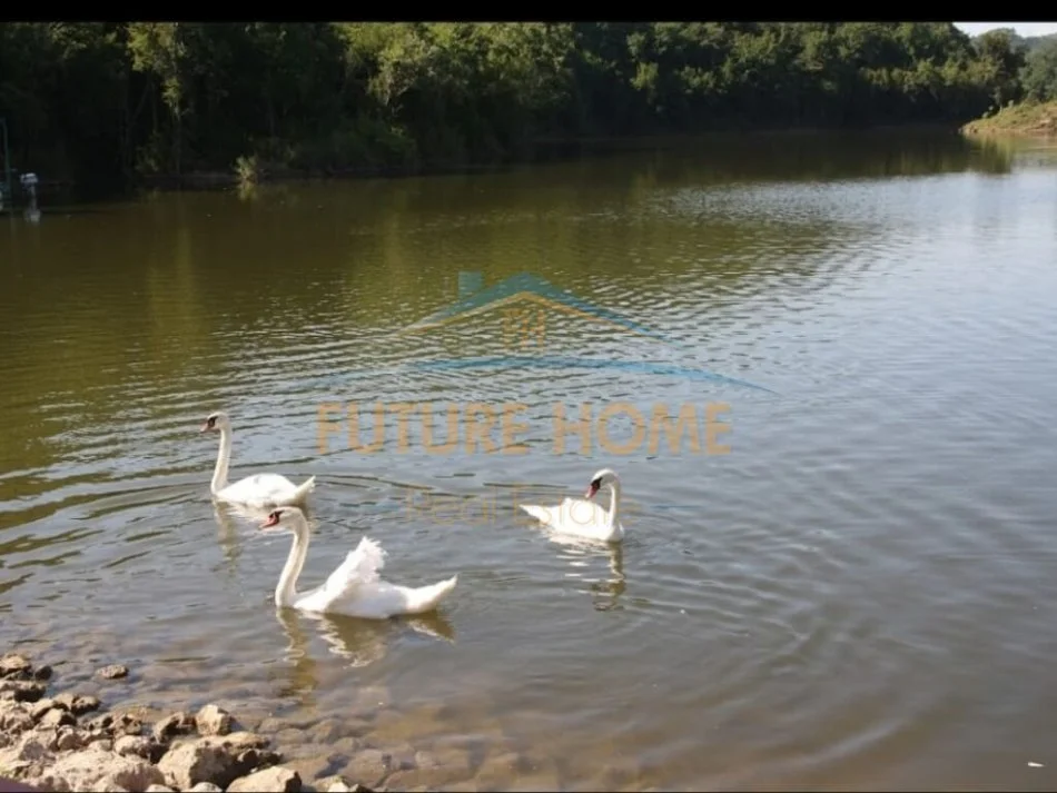 Durres, shitet Ferme per Agroturizem, 18.000 m² (Gjiri Lalzit)