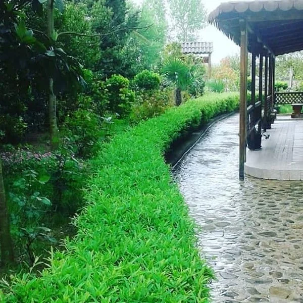 Tirane, shitet bar-resorant Kati 0, 384 m² 400.000 € (PEZE E VOGEL)