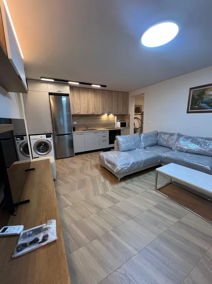 Tirane, jepet me qera apartament 1+1 Kati 2, 650 € (liqeni artificial , rruga e kosovareve)