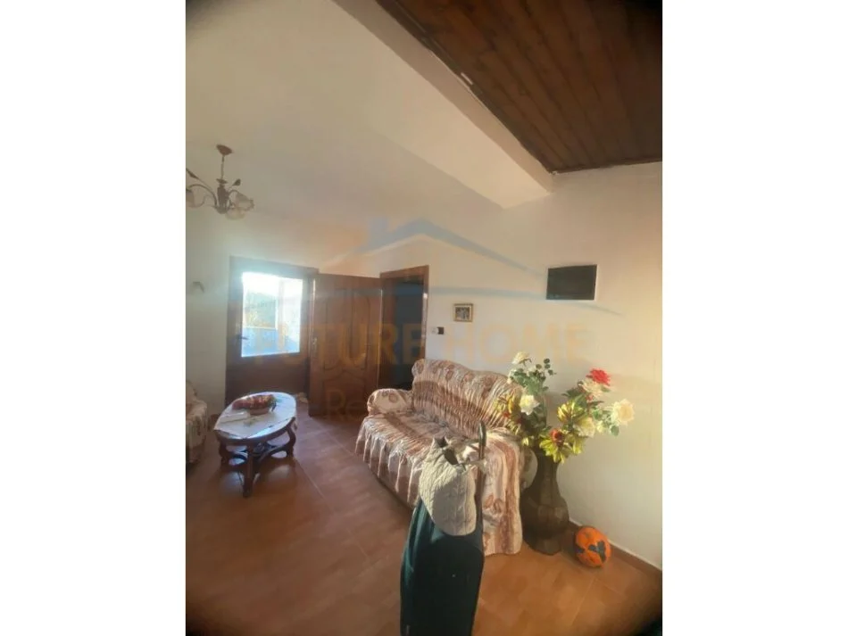 Kolonje, shitet shtepi 4+1+Ballkon Kati 4, 985 m² 200.000 € (Aksi Ersekë-Leskovik.)