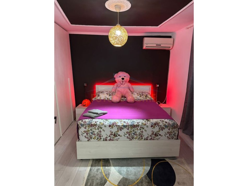 Tirane, jepet me qera apartament 1+1 Kati 2, 55 m² 500 € (rruga Haxhi Sina)