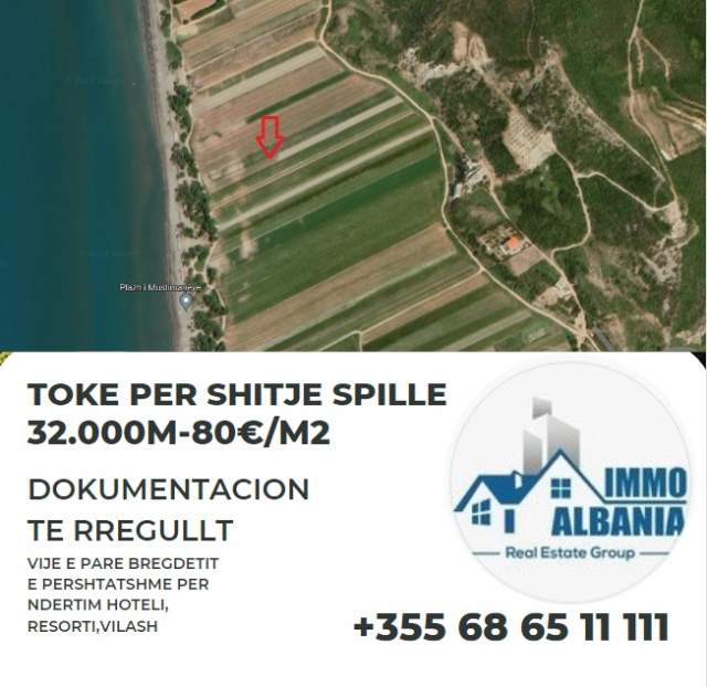 Spille, shes toke ne bregdet 32.000 m² 80 Euro/m2