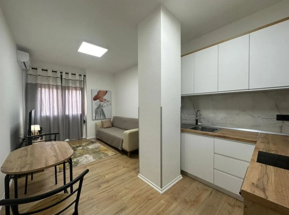 Apartament 1+1 me qera ne Qender/Rruga e Bogdaneve (550 Euro)