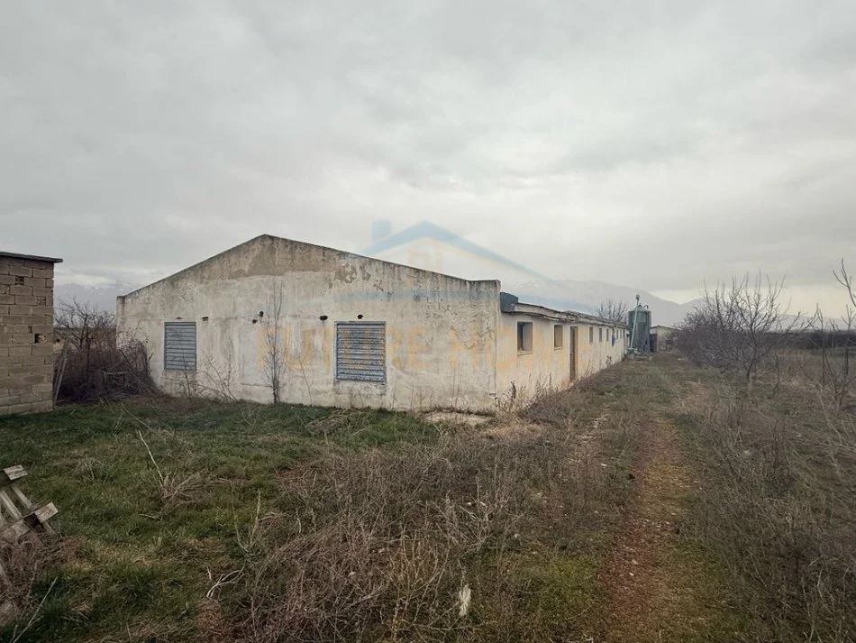 Korce, shitet , 210.000 € (Korçë - Pogradec.)