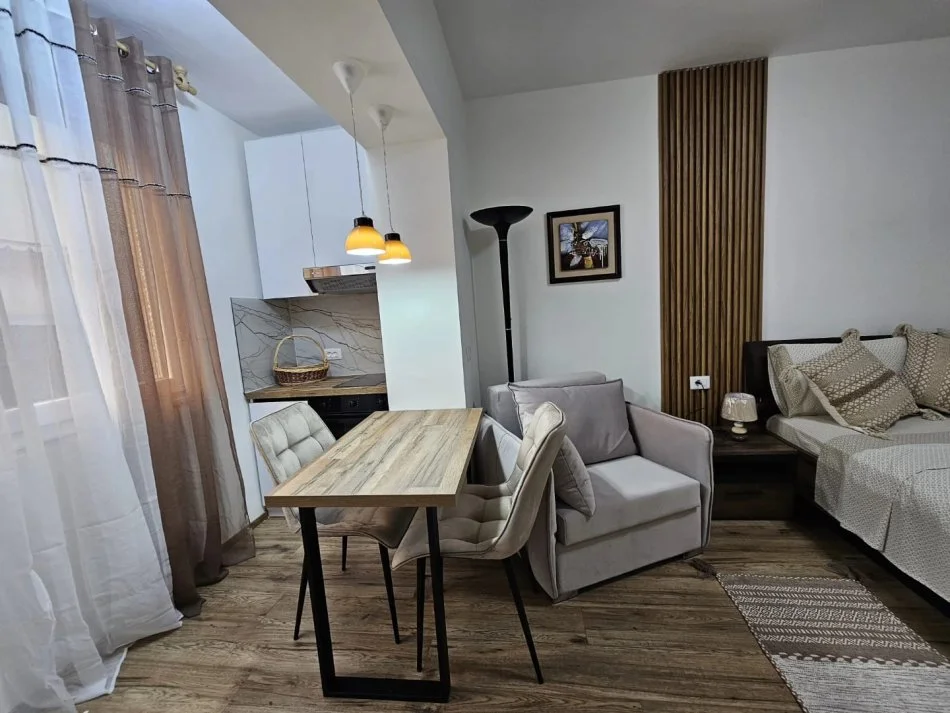 Tirane, jepet me qera 1+1 , 450 € 