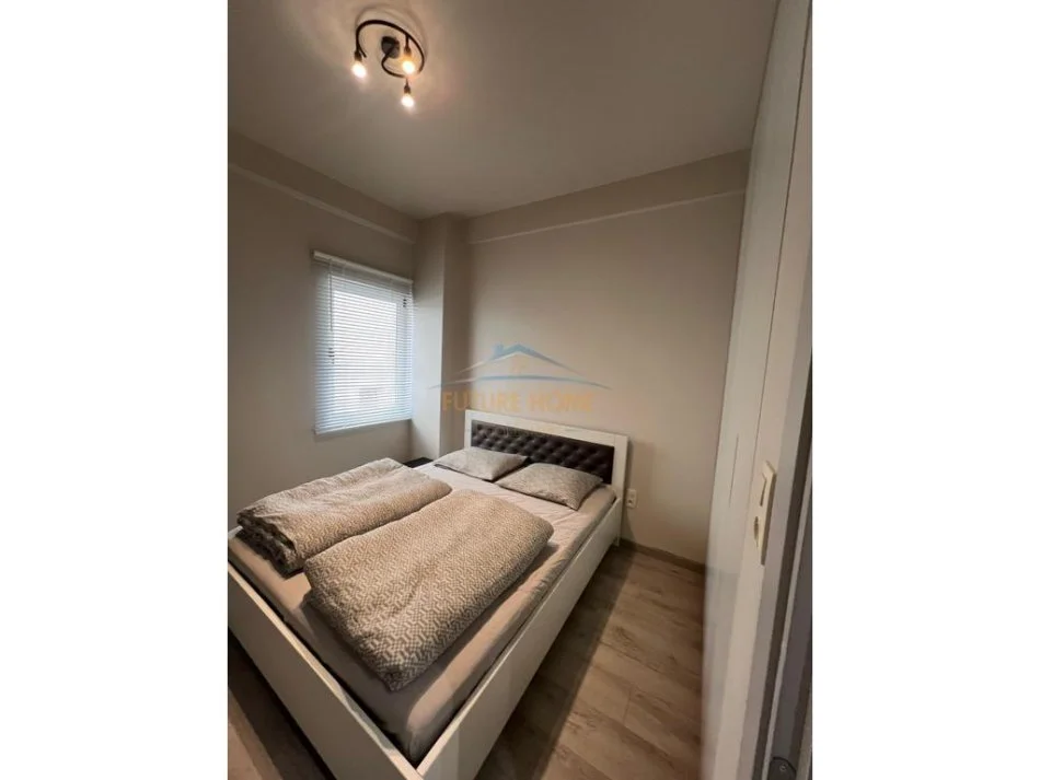 Tirane, jepet me qera apartament 1+1 Kati 2, 700 € (Liqeni i Thate)