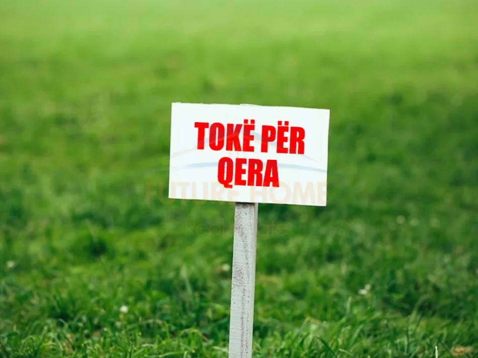 Tirane, jepet me qera ambjent biznesi Kati 0, 2.000 m² 6.000 € (teg)
