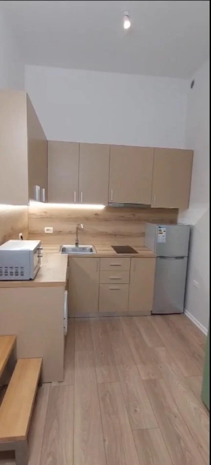 Tirane, shitet garsonier 1+1 Kati 0, 33 m² 73.000 € (Rruga Frosina Plaku)