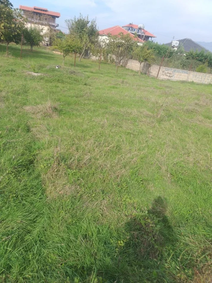 Tirane, shes , 600 m² 65.000 € 