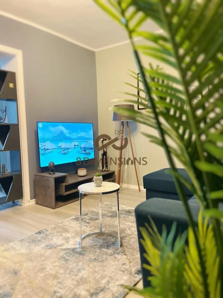 Tirane, jepet me qera apartament 1+1 Kati 2, 75 m² 650 € (rruga e durresit)