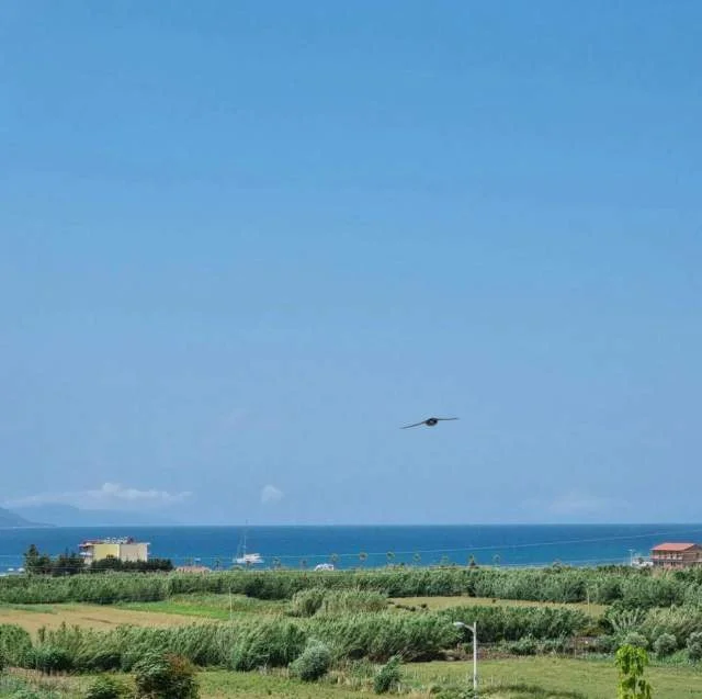 Apartament Apartament #perShitje (Orikum)