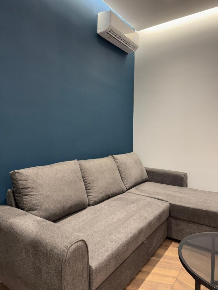 Tirane, jepet me qera 1+1 Kati 5, 65 m² 530 € (liqeni i thate)