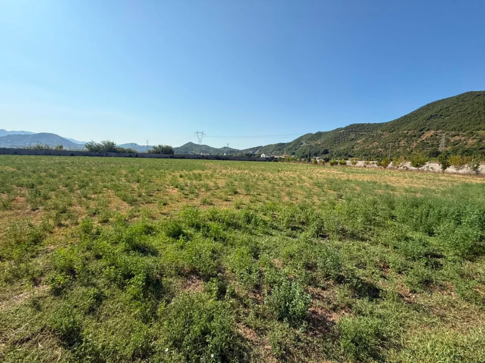 Tirane, shitet truall , 15.000 m² (Ne Fshatin Arbane)