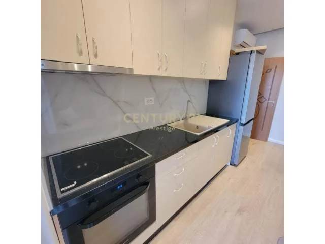 Tirane, jepet me qera apartament 1+1+BLK 60 m² 400 Euro (fresku)