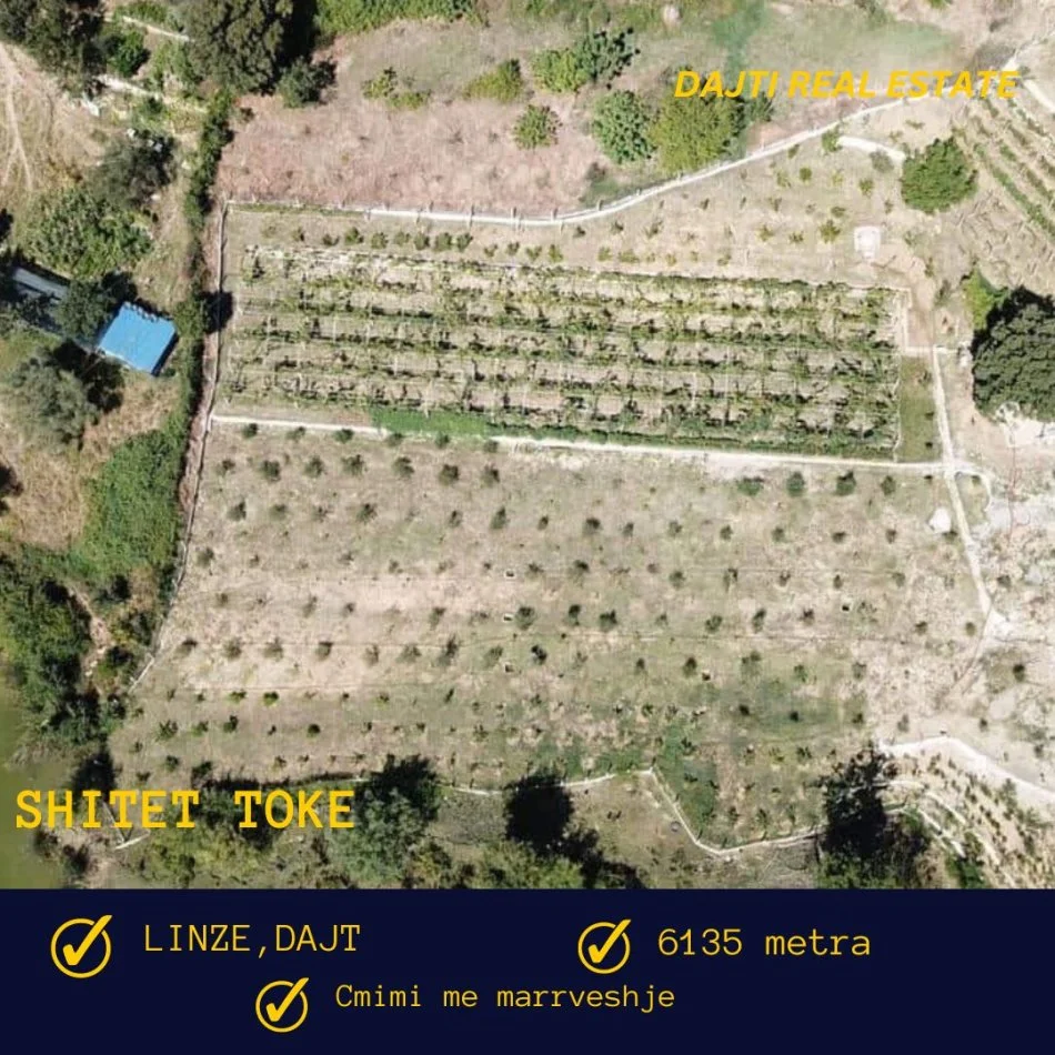 Tirane, shitet toke bujqesore , 6.135 m² (Linze,Dajt,afer Komunes)