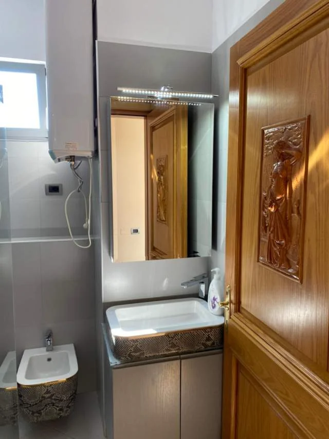 Tirane, jap me qera apartament 1+1 Kati 9, 60 m² 600 € (Myslym Shyri)