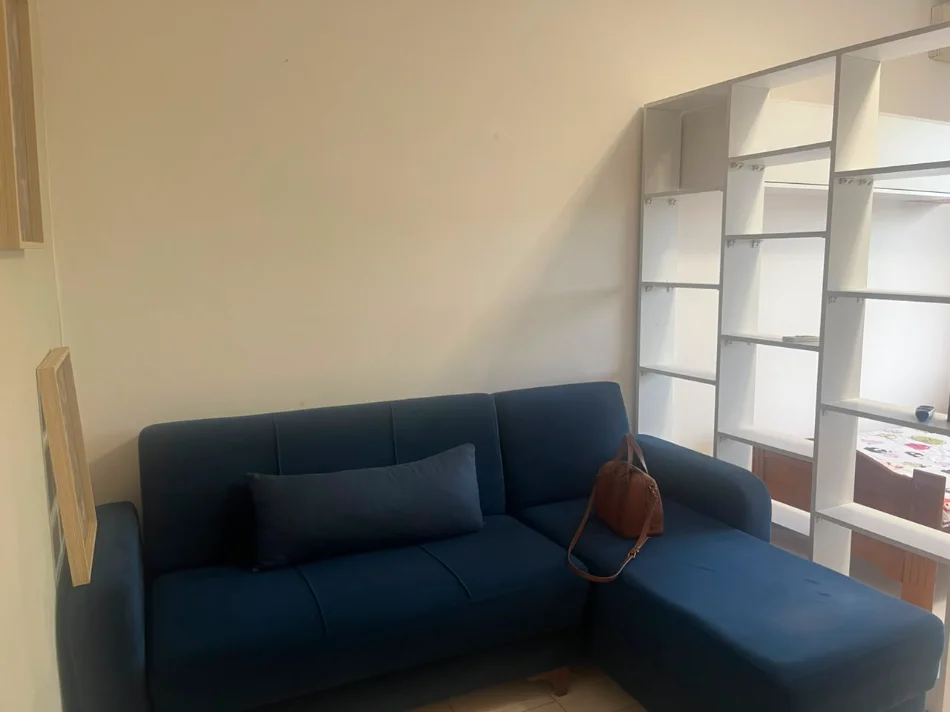 Tirane, jepet me qera garsonier 1+1 Kati 4, 350 € (Fakulteti Ekonomik)