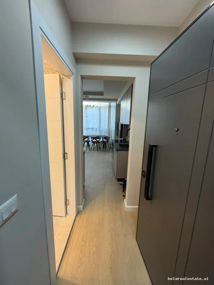 Tirane, jepet me qera apartament 1+1 Kati 2, 60 m² 600 € (Rruga Teodor Muzaka)