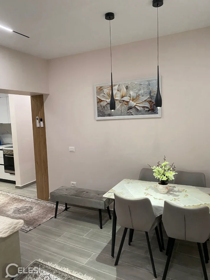 Tirane, jepet me qera apartament 1+1+Ballkon Kati 2, 60 m² 850 € (RRUGA E ELBASANIT)