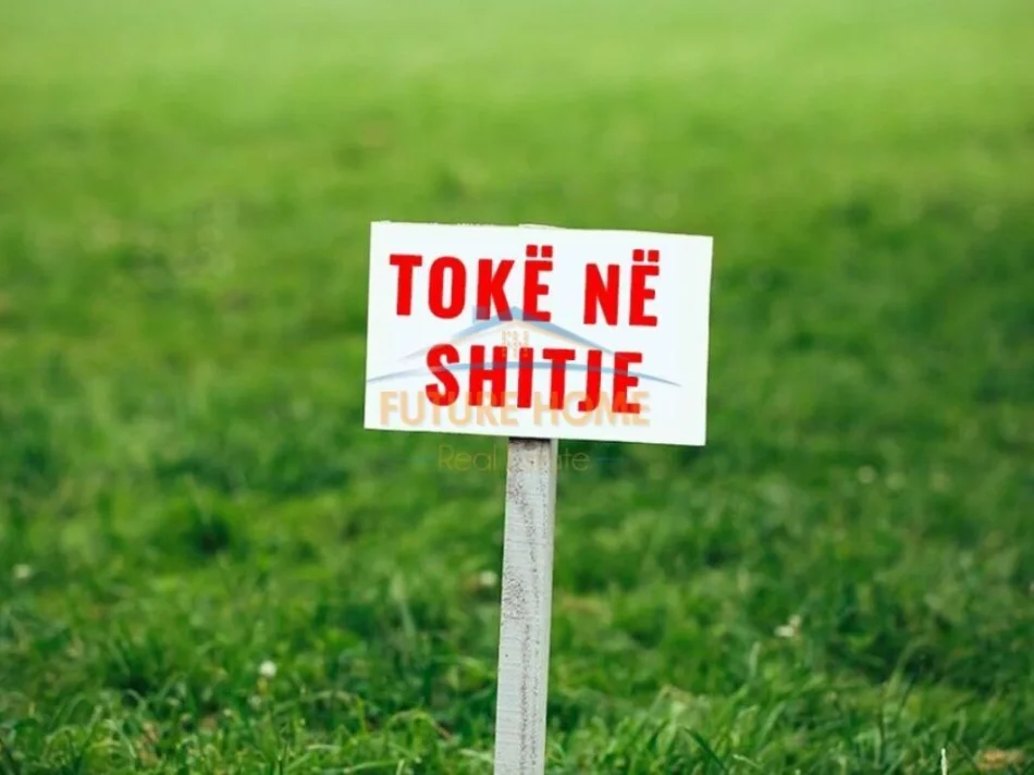 Borsh, shitet toke , 500 m² 100.000 € 