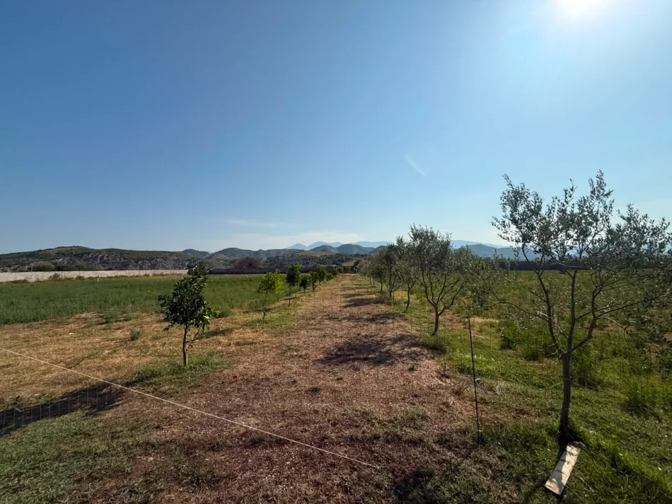Tirane, shitet truall , 15.000 m² (Ne Fshatin Arbane)