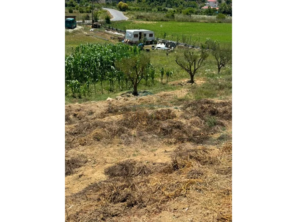 Tirane, shitet toke , 3.000 m² 330.000 € (Peze)