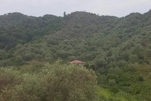 Tirane, Marikaj Shiten 2 Ullishte me siperfaqe totale 16.200 m², Cmimi Fillestar 39.680.000 Leke