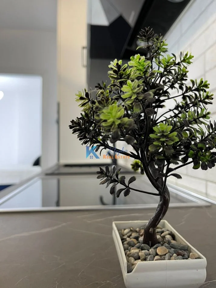 Tirane, jepet me qera apartament 1+1 Kati 2, 60 m² 650 € (21 Dhjetori, afer hotel Mondial)