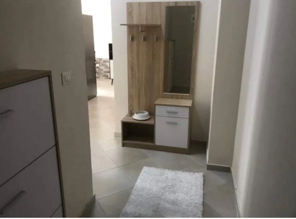 Tirane, jepet me qera apartament 1+1 Kati 1, 85 m² 350 € (Fresk, Rruga Muhamet Deliu)