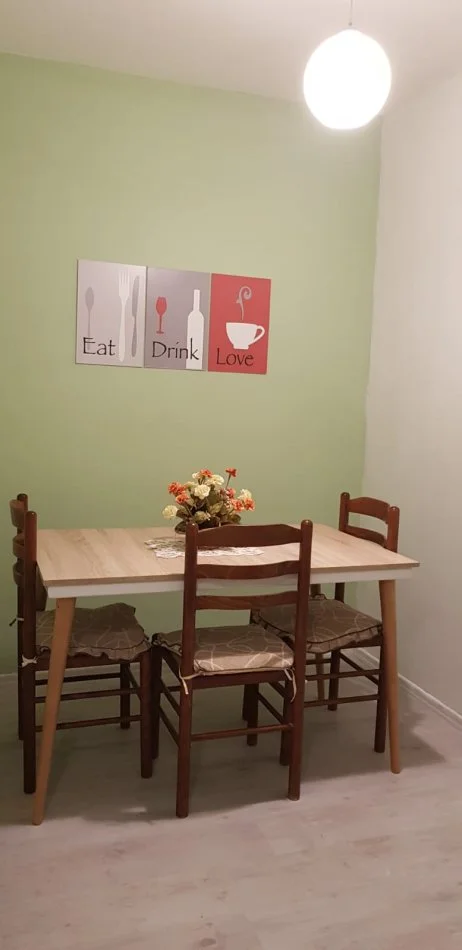 Tirane, jap me qera apartament 1+1+Ballkon Kati 2, 64 m² 500 € (21 Dhjetori)