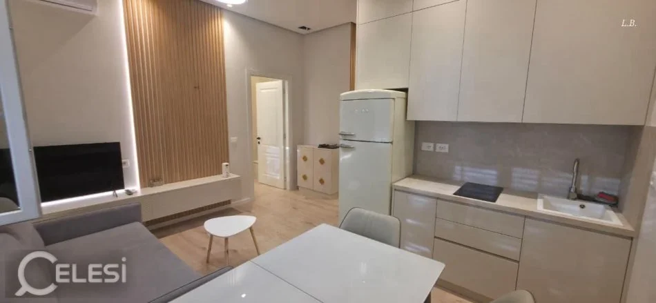Tirane, jepet me qera apartament 1+1+Ballkon Kati 1, 55 m² 650 € (RRUGA E DIBRES)