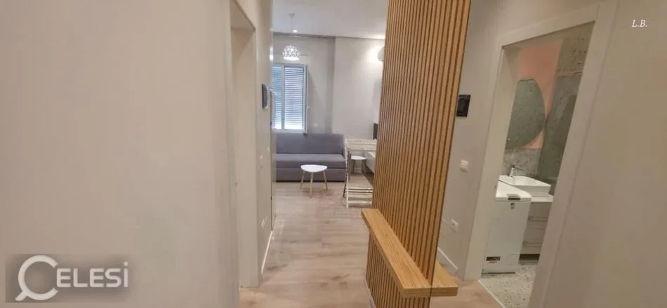 Tirane, jepet me qera apartament 1+1+Ballkon Kati 1, 55 m² 650 € (RRUGA E DIBRES)
