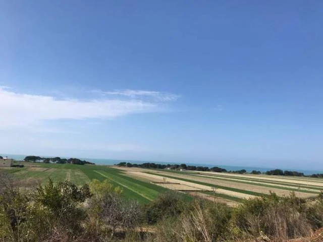 SHITET TOKE  BUZE AUTOSTRADES  TR-DR ne Vore  45.000 m2  me 80 euro/m2 Euro (AUTOSTRADA TIRANE-DURRES)