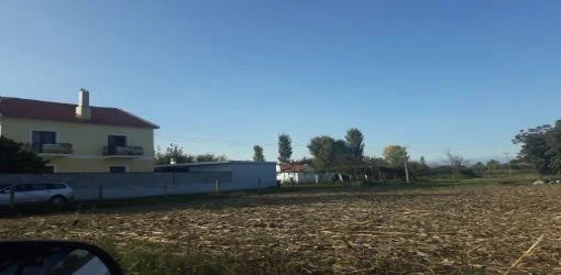 Lezhe, Shitet Tokë Arë 2,000 m2, Cmimi Fillestar 2.772.000 Leke (Tale 2)