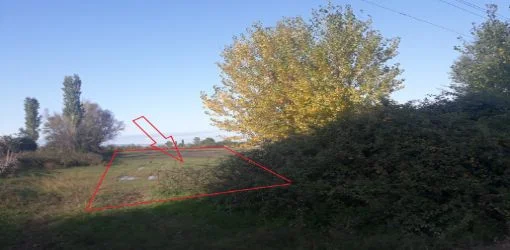 Lezhe, Shitet Tokë Arë 12,262 m2, Cmimi Fillestar 13.199.594 Leke (Tale 2)